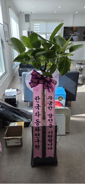 ���� ���� - �ǳ����� ��ȭ���� - ���׸���� ���� �𰥰������� �ɹ�� ���� 