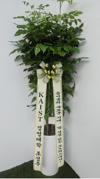 �������� ������õ - ���� �캸��A �ɹ�� ���� 