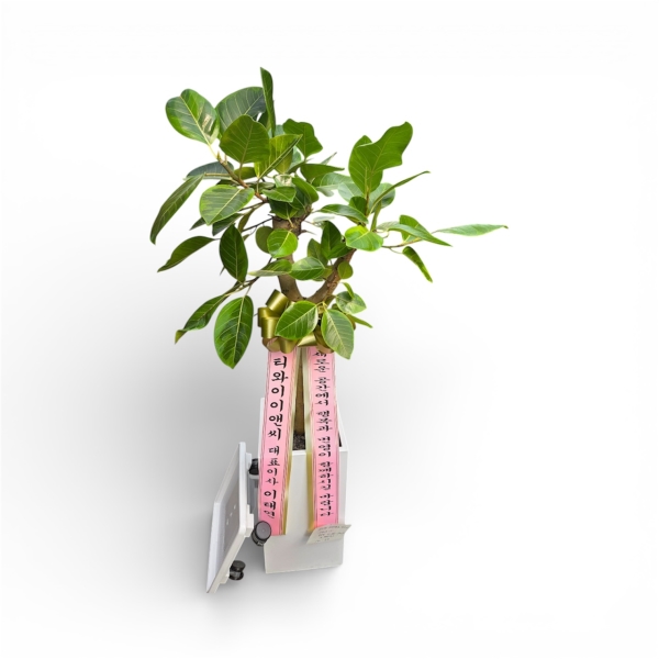 ���� ���� - �ǳ����� ��ȭ���� - ���׸���� ���� �𰥰������� �ɹ�� ���� 