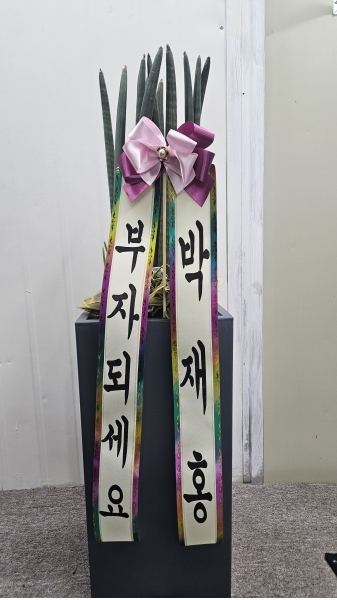 ���Ծ��� ����� �γ��� ��¡�ϴ� �Ĺ� - ����Ű(��) �ɹ�� ���� 