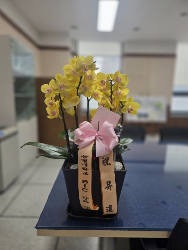 ������ ������ ����� �Բ� ������, ��� ȣ���� �ɹ�� ���� 