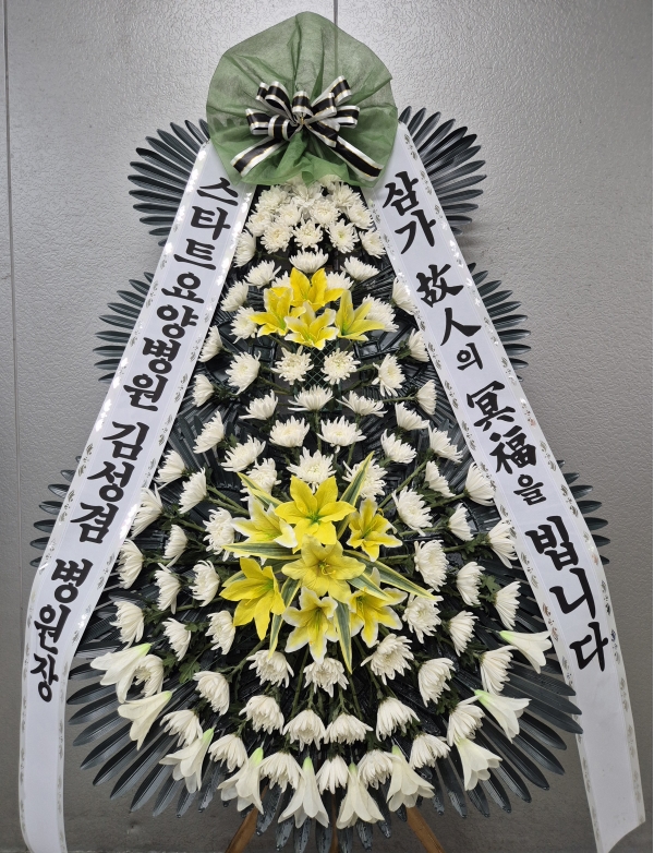 ���� �ֵ��� ���� ����ȭȯ �ɹ�� ���� 