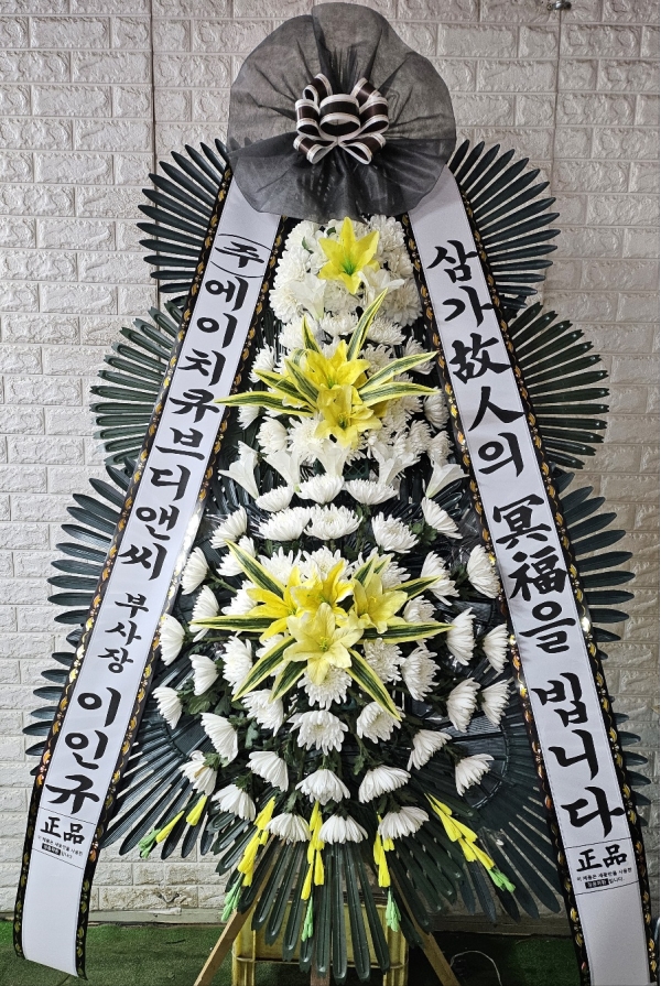 ������ ���� ���� 3�� ȭȯ �ɹ�� ���� 