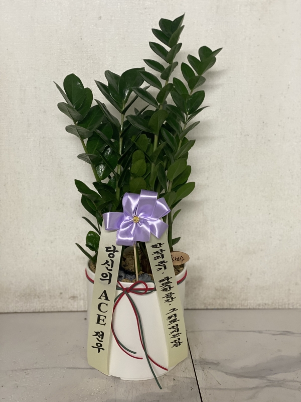 [�����ǹ��] ������ȭ�Ĺ� - ������B ***ȭ�⺯��*** �ɹ�� ���� 