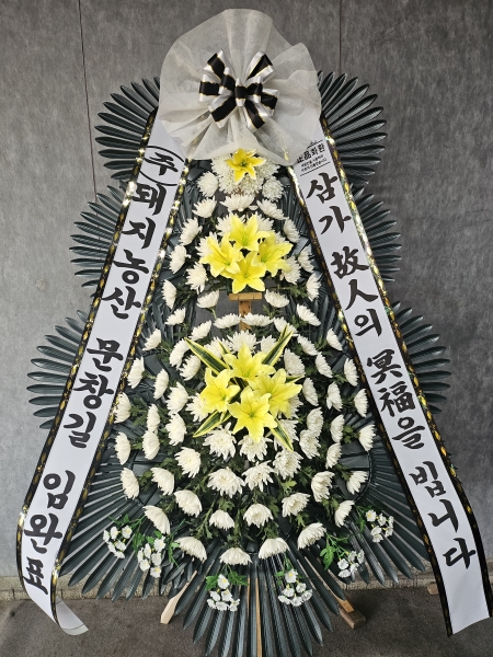 �����ô� ���� ǰ��! - �ö��119 ����3�ܱ⺻ȭȯ  (�������Ʈ) �ɹ�� ���� 