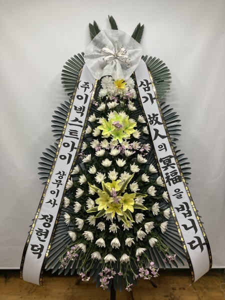 ���� �ֵ��� ���� ����ȭȯ �ɹ�� ���� 