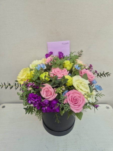 [����/�����ǹ��] Yes it is - ������ ������� �ɹ�� ���� 