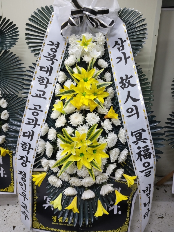 ������ ���� ���� 3�� ȭȯ �ɹ�� ���� 