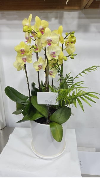 ������ ������ ����� �Բ� ������, ��� ȣ���� �ɹ�� ���� 