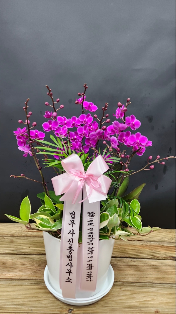 ������ ù������ ���ο� ������ �����ϴ�, ���� ��ũ ȣ���� ��õȫ �ɹ�� ���� 