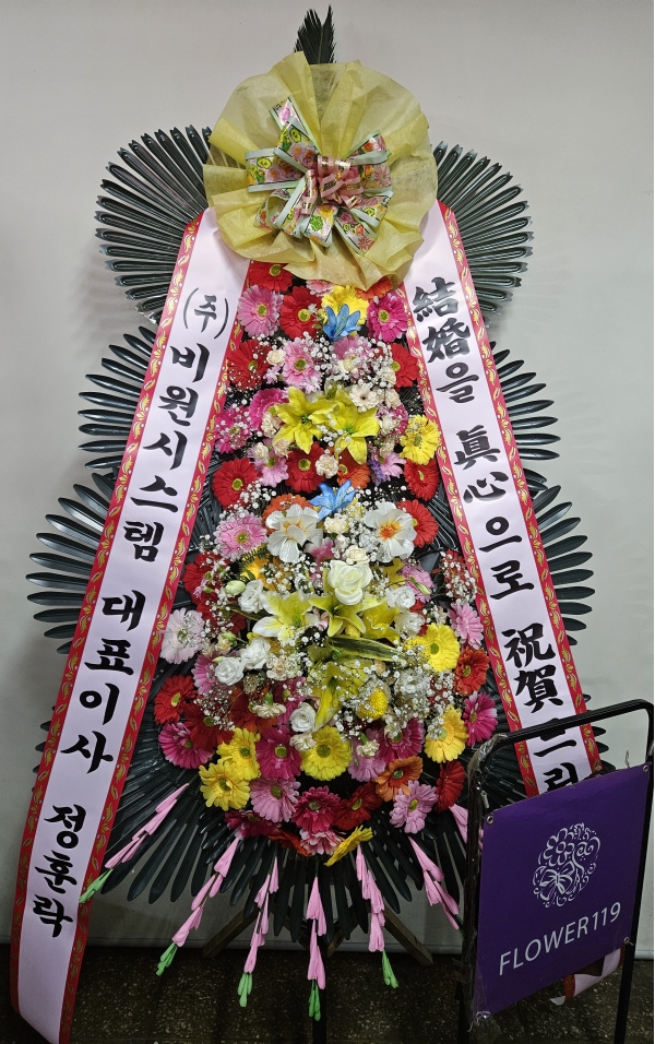 ����3�ܱ⺻ȭȯ �ɹ�� ���� 