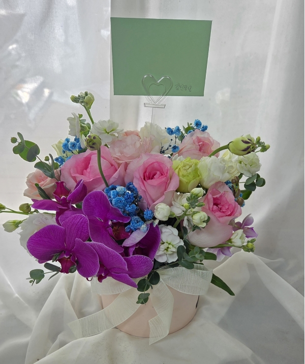 [����/�����ǹ��] Yes it is - ������ ������� �ɹ�� ���� 