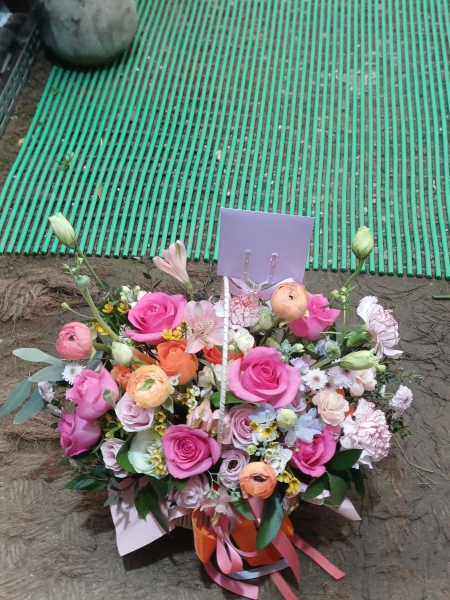 �������� �� �������� - ���޽�����鼭 ǳ���� �ɹٱ��� - beautiful pink lady �ɹ�� ���� 