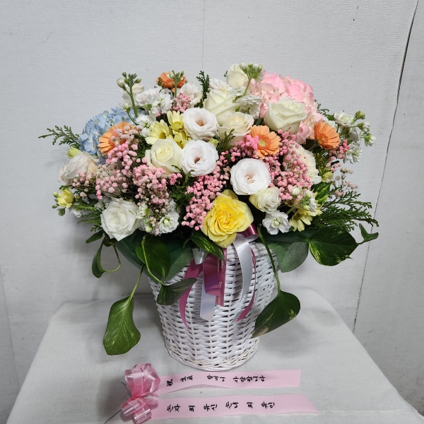 []Spring&Sweet  - pop spring flower ɹ  