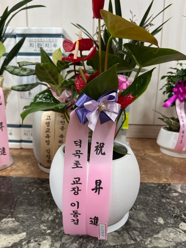 �Ƚ����� [ȭ�⺯��] �ɹ�� ���� 