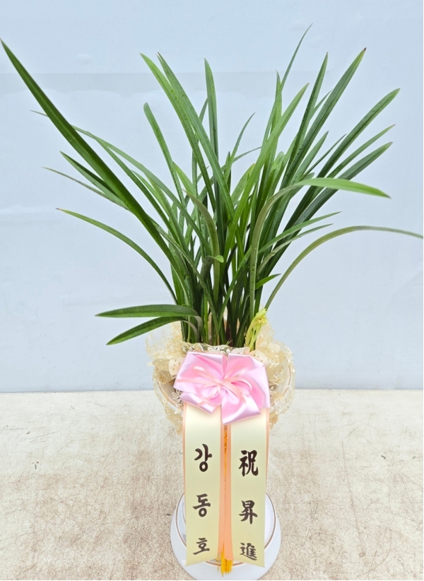 [�λ��̵� ��õ] ���� ���� �Ǿ��ִ� ����� �ɹ�� ���� 