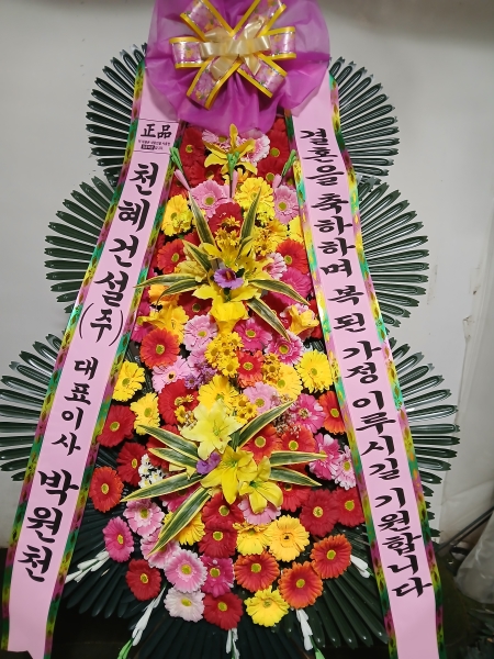 ����3�ܱ⺻ȭȯ �ɹ�� ���� 