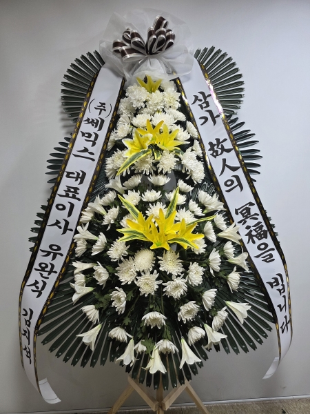 �����ô� ���� ǰ��! - �ö��119 ����3�ܱ⺻ȭȯ  (�������Ʈ) �ɹ�� ���� 