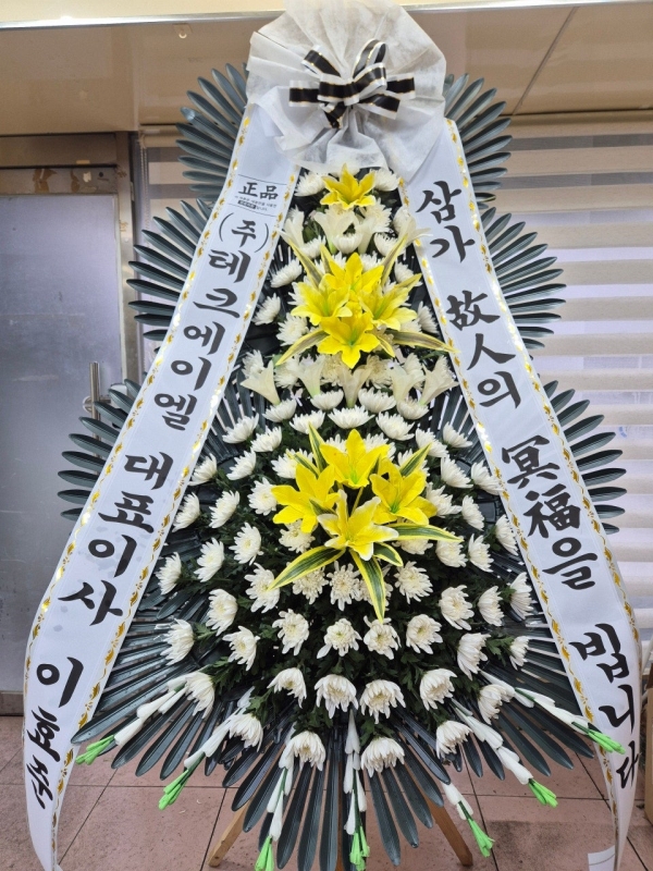 �����ô� ���� ǰ��! - �ö��119 ����3�ܱ⺻ȭȯ  (�������Ʈ) �ɹ�� ���� 