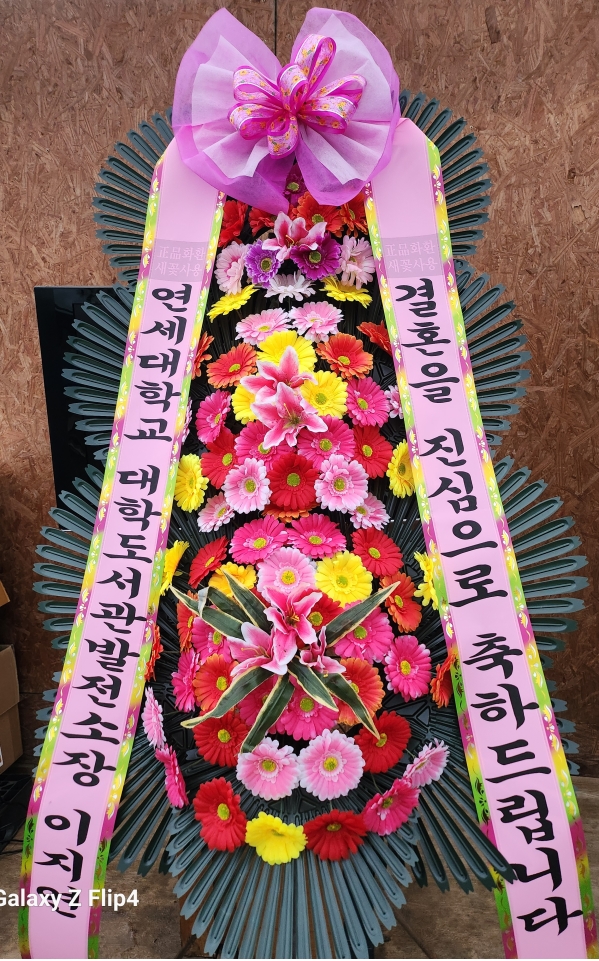 ����3�ܱ⺻ȭȯ �ɹ�� ���� 