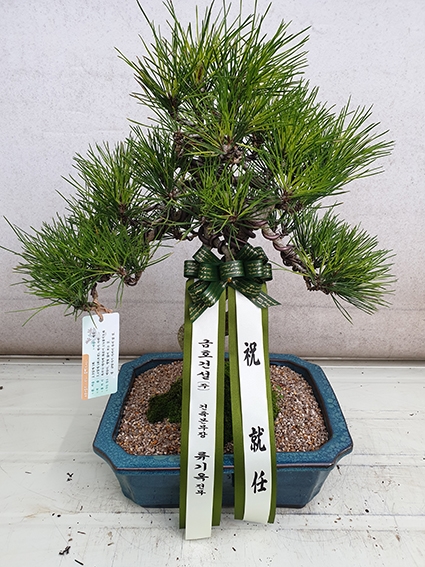 [���������]Office&Nature - ���޺��� �ؼ�(��) �ɹ�� ���� 