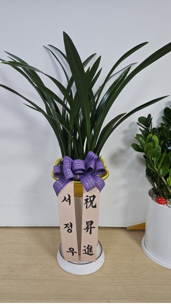 [�λ��̵� ��õ] �Ͼ� ���� �Ǿ�� �����(***ȭ��ǰ���� ȭ�⺯��***) �ɹ�� ���� 