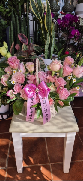 Spring & sweet ���̿� �ɹ�� ���� 