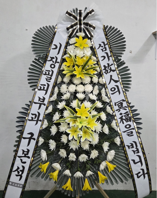 �����ô� ���� ǰ��! - �ö��119 ����3�ܱ⺻ȭȯ  (�������Ʈ) �ɹ�� ���� 