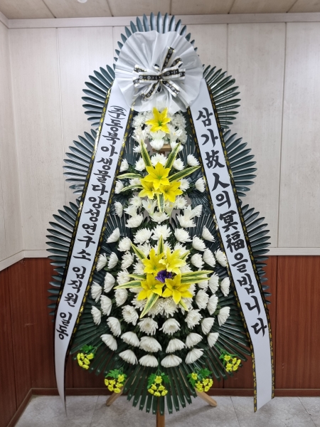 �����ô� ���� ǰ��! - �ö��119 ����3�ܱ⺻ȭȯ  (�������Ʈ) �ɹ�� ���� 