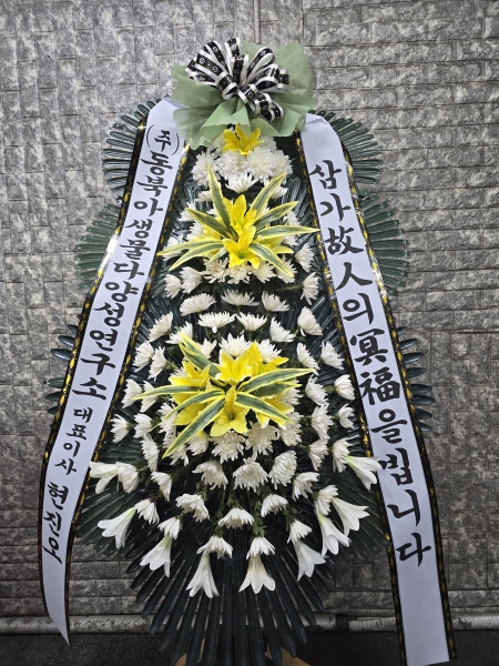 �����ô� ���� ǰ��! - �ö��119 ����3�ܱ⺻ȭȯ  (�������Ʈ)