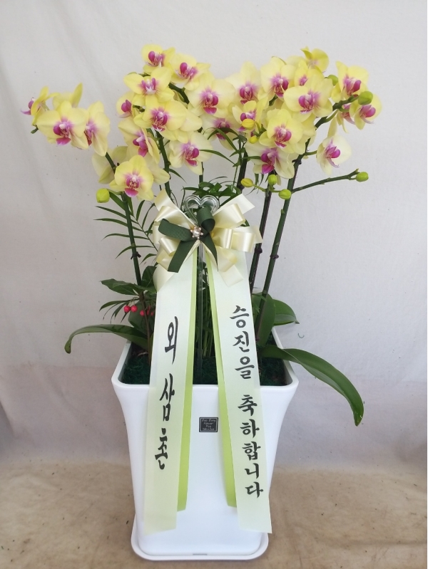 ������ ������ ����� �Բ� ������, ��� ȣ���� �ɹ�� ���� 