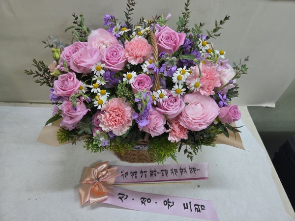 [�������]����̾߱� �ɹ�� ���� 