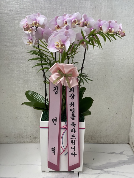 �� �簢 ȭ���� ����ȫ ����� (��) �ɹ�� ���� 