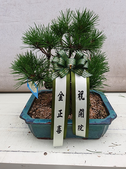 [���������]Office&Nature - ���޺��� �ؼ�(��)