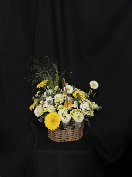 Lovely sunlight �ɹ�� ���� 