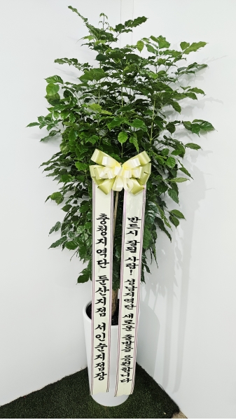  ִ ׸ Ĺ - 캸(ȭ⺯氡) ɹ  