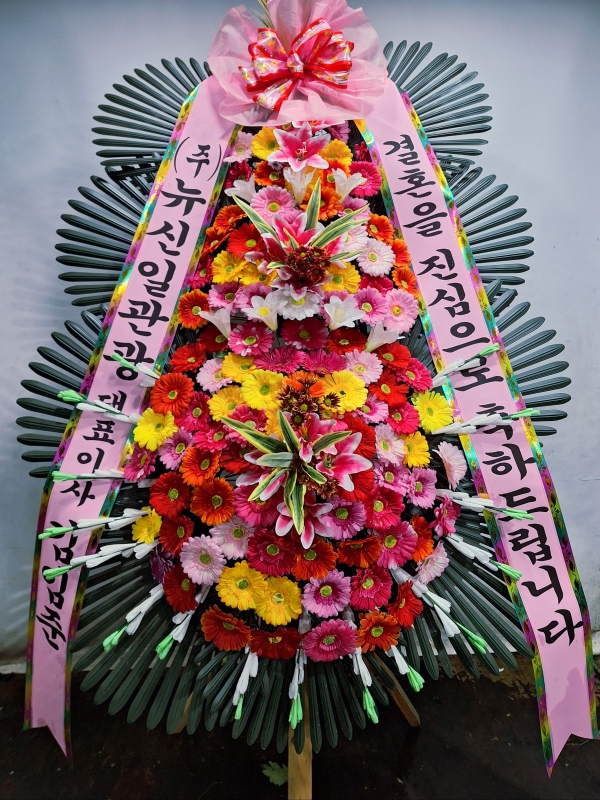   մϴ - ö119 3ȭȯ ( ʸ ) ɹ  