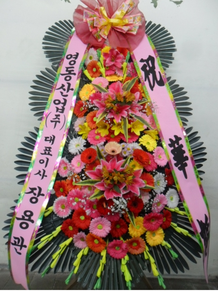 ����3�ܱ⺻ȭȯ �ɹ�� ���� 