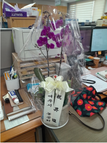 �ܾ��� ���� ǰ�� ��õȫ (��) �ɹ�� ���� 