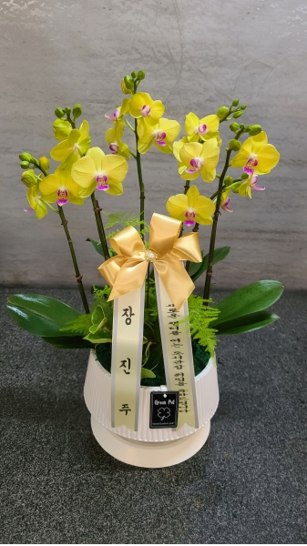 ������ ������ ����� �Բ� ������, ��� ȣ���� �ɹ�� ���� 