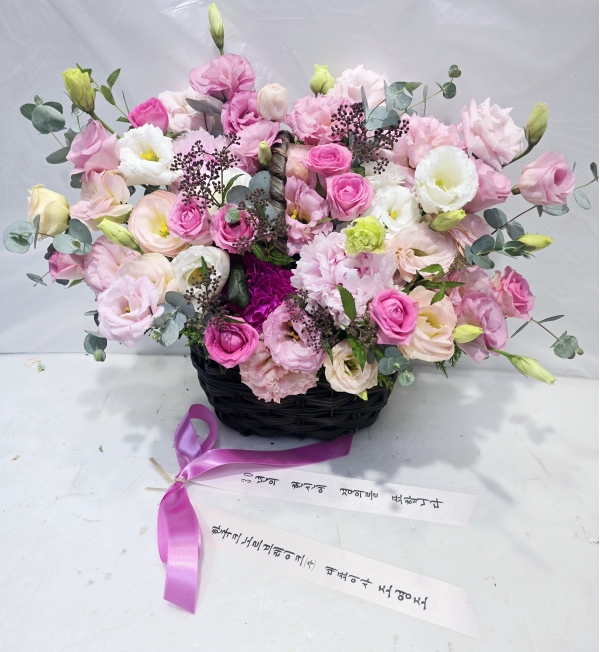    - ޽鼭 ǳ ɹٱ - beautiful pink lady ɹ  