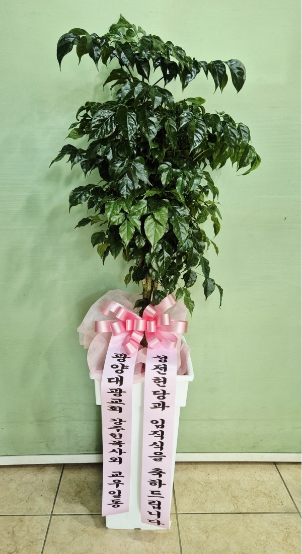 ������õ �������� - ���� �캸��B �ɹ�� ���� 