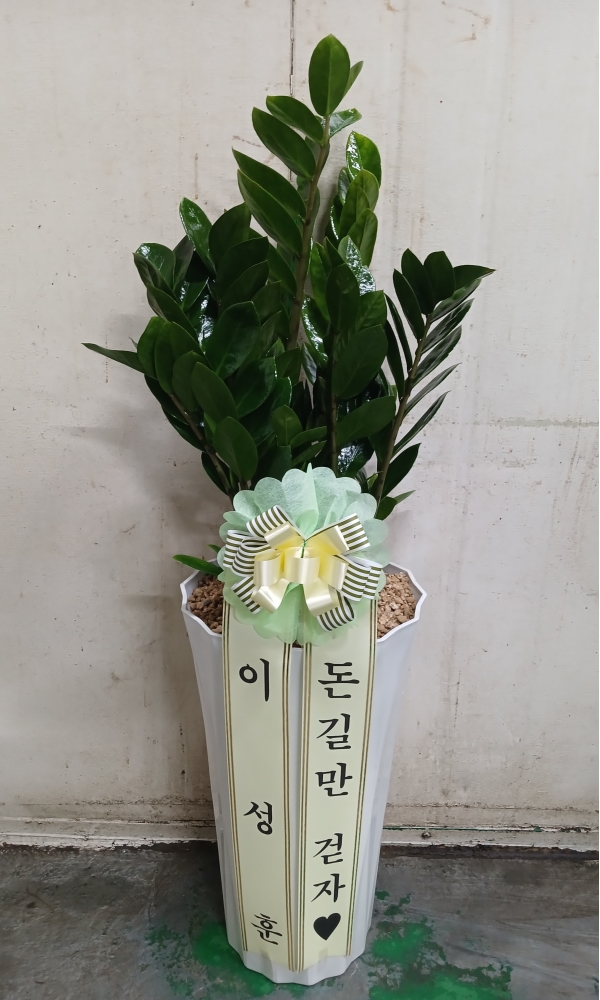 �������� ������õ - �̱׷��� ������ C �ɹ�� ���� 