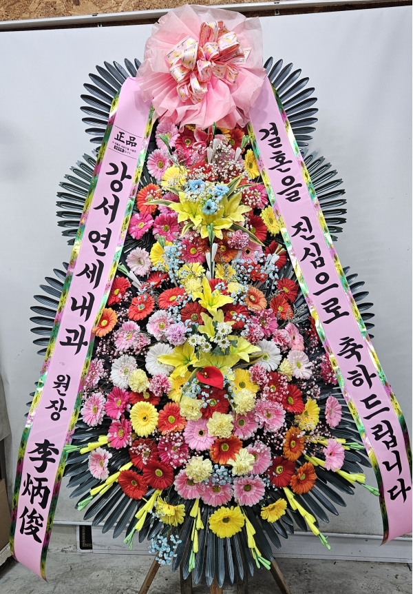 ����3��ȭȯ(������) �ɹ�� ���� 