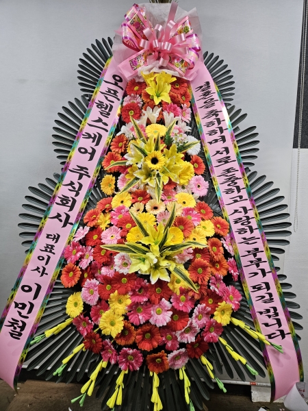 ����3�ܱ⺻ȭȯ �ɹ�� ���� 