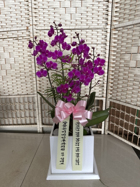 [����]��Ȱ������ ȭ���ϰ� - ��õȫ (��)(ȭ�⺯��) �ɹ�� ���� 