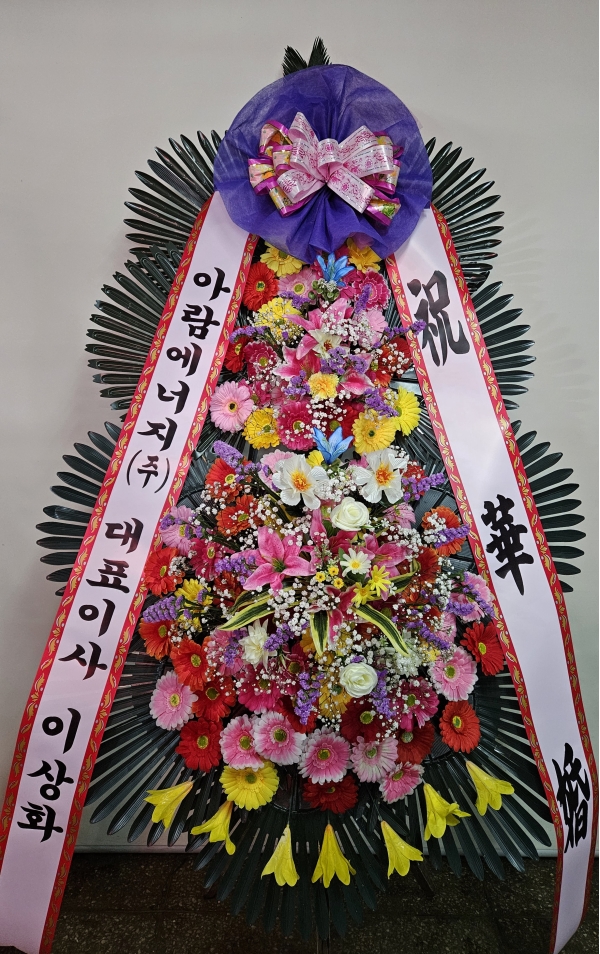 ����3�ܱ⺻ȭȯ �ɹ�� ���� 