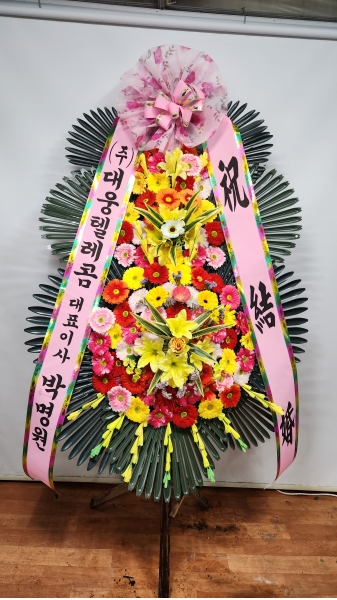 ����3�ܱ⺻ȭȯ �ɹ�� ���� 