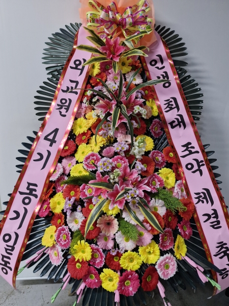 ������ ������ ���մϴ� - �ö��119 ����3��ȭȯ ( �Ϲ� ) �ɹ�� ���� 