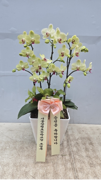 [�����ϴ� ���� ���] ȣ���� �׸����� (��) �ɹ�� ���� 